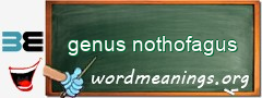 WordMeaning blackboard for genus nothofagus
